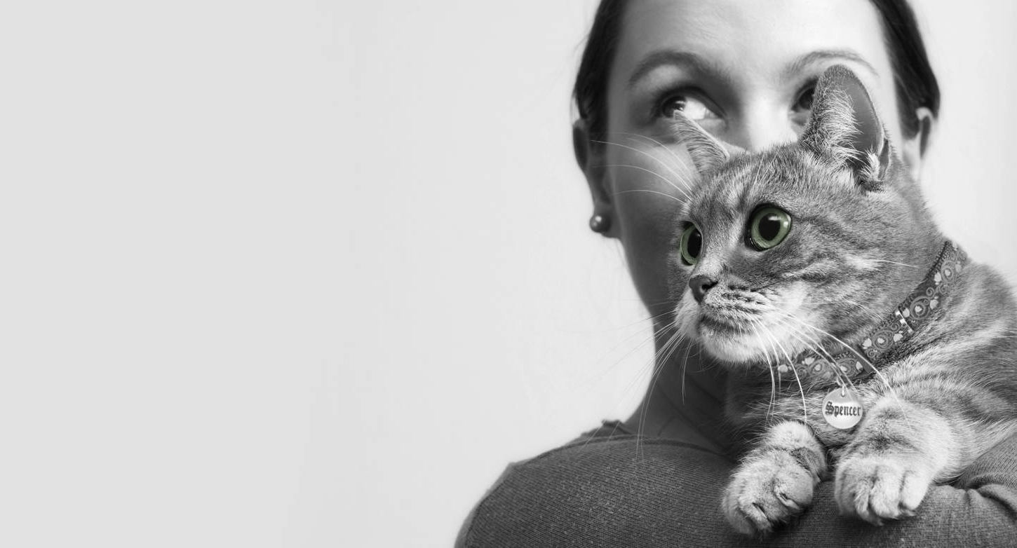 Every Cat Deserves Quality Health Care