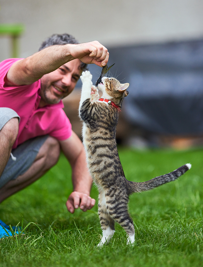 is time for eating some fish man playing with cat