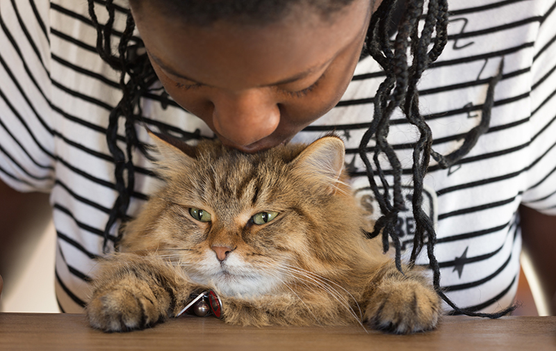 woman kissing cat on head