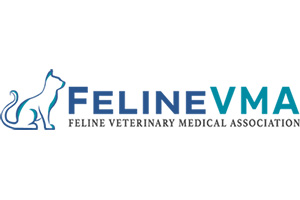 Felinvma-300x200
